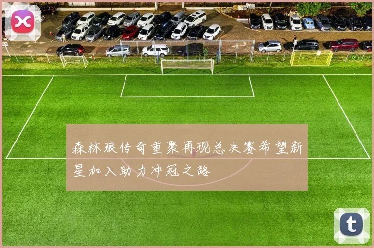 森林狼传奇重聚再现总决赛希望新星加入助力冲冠之路