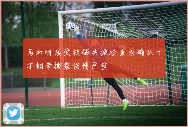 乌加特接受核磁共振检查或确认十字韧带撕裂伤情严重